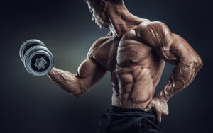 How to build biceps